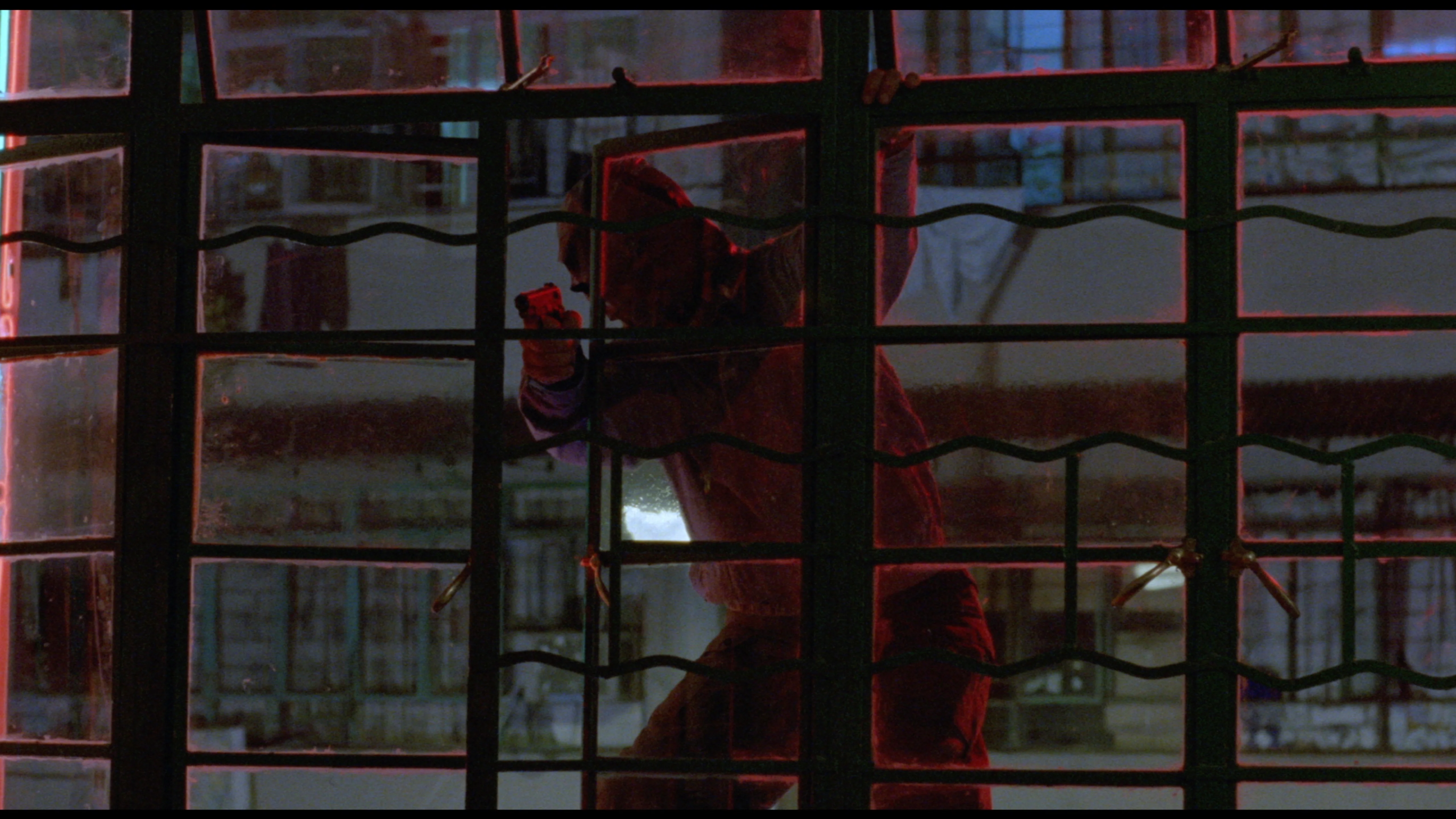 The Protector - Image 10