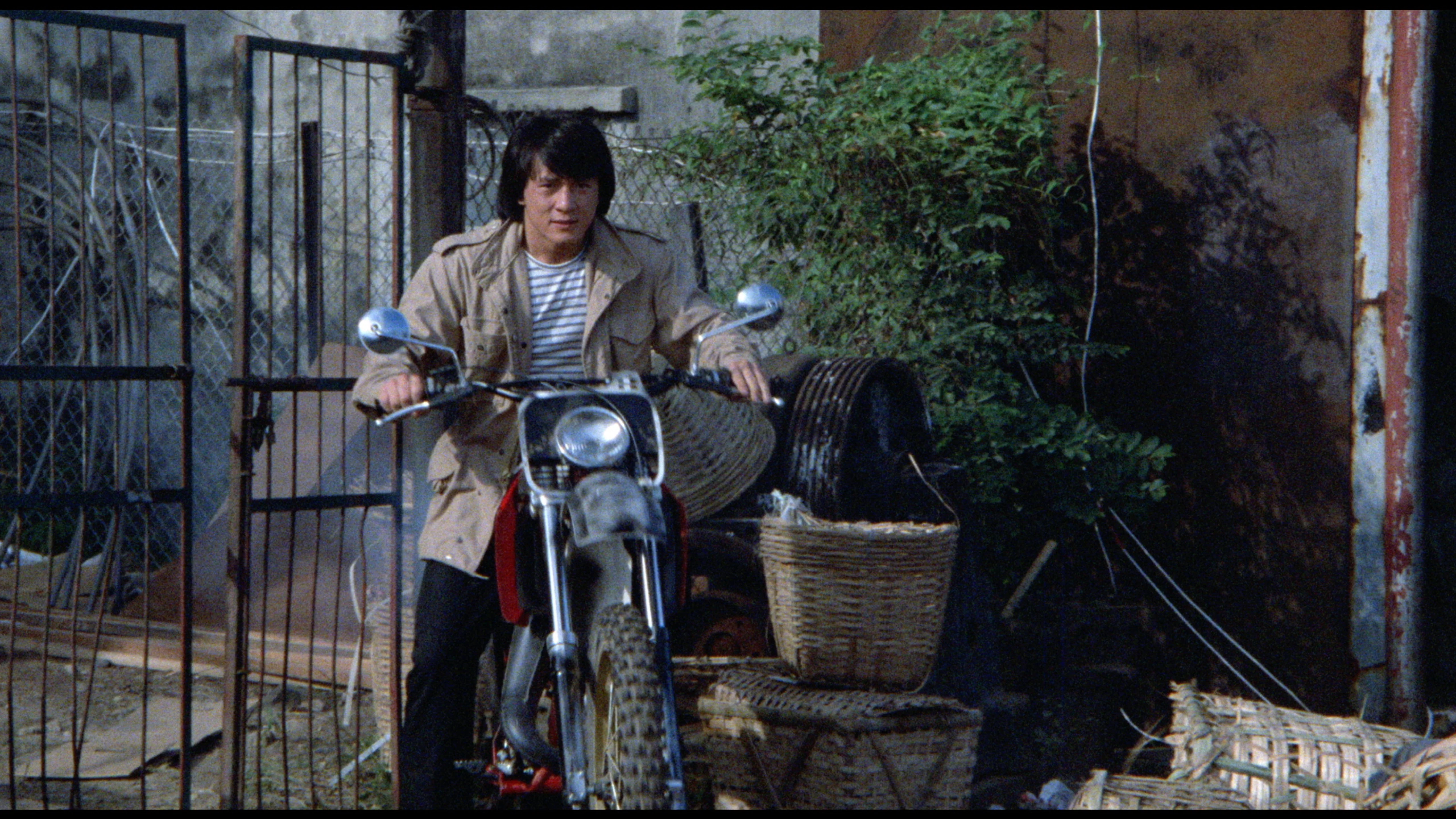 The Protector - Image 8